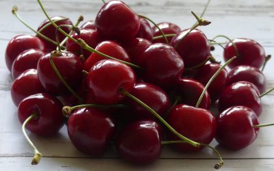 קטיף דובדבנים מוביל קמפינג אי שם