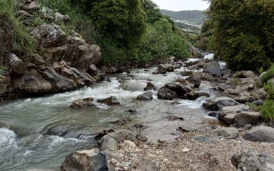 קשת יהונתן 13